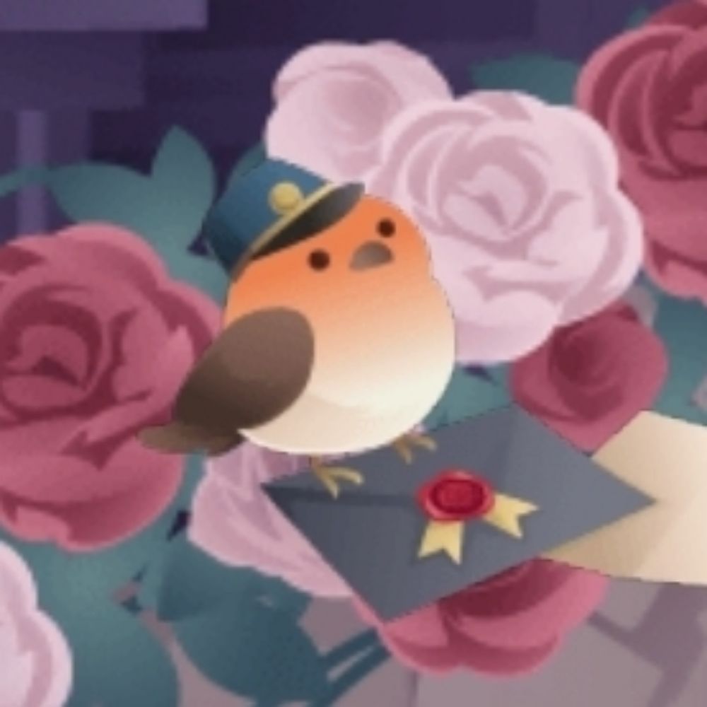 robin