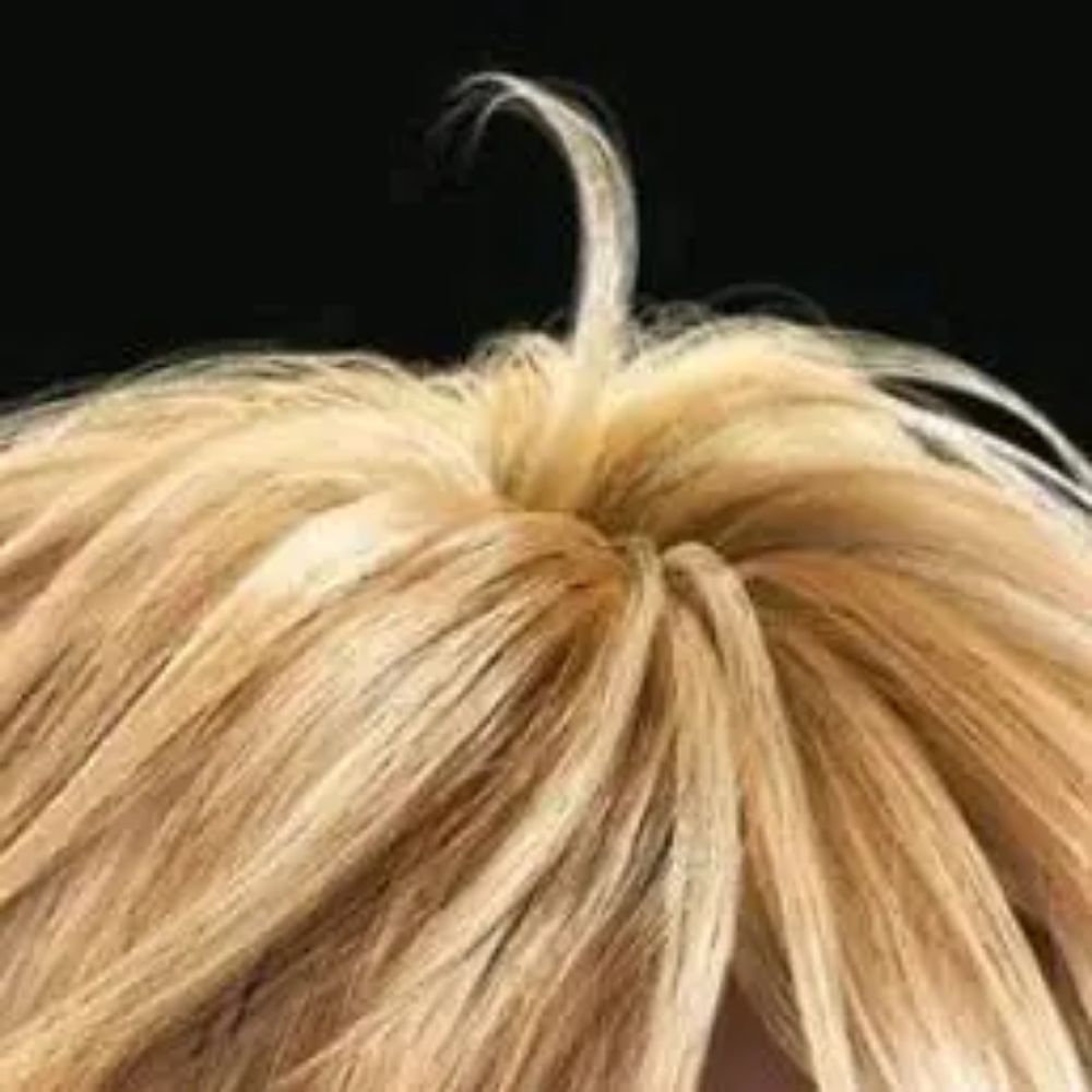 Leo Kliesen's Ahoge