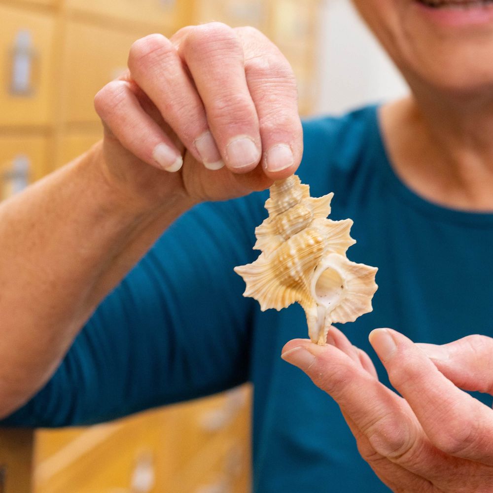ASU Biocollections