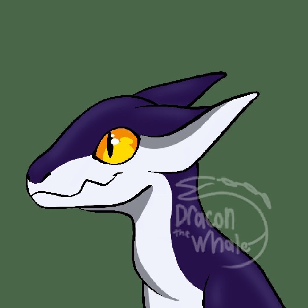 DraconTheWhale (commissions are open)