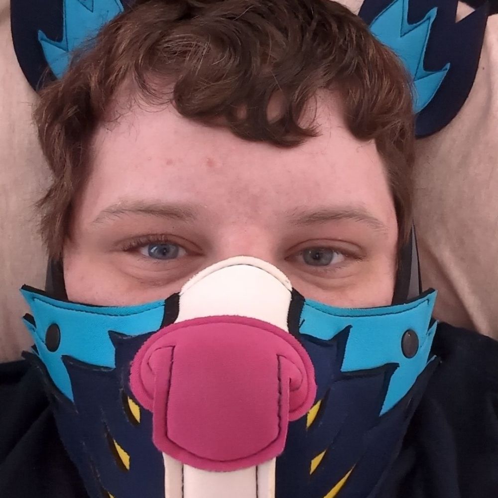 Pup Aspen