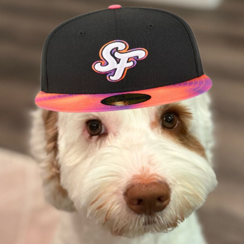 SFGiantsMemes