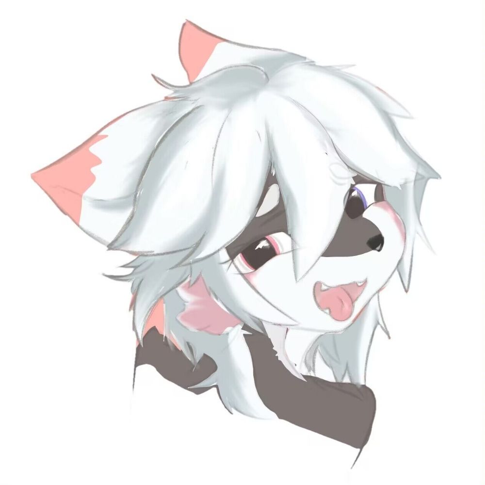 MeowKoco