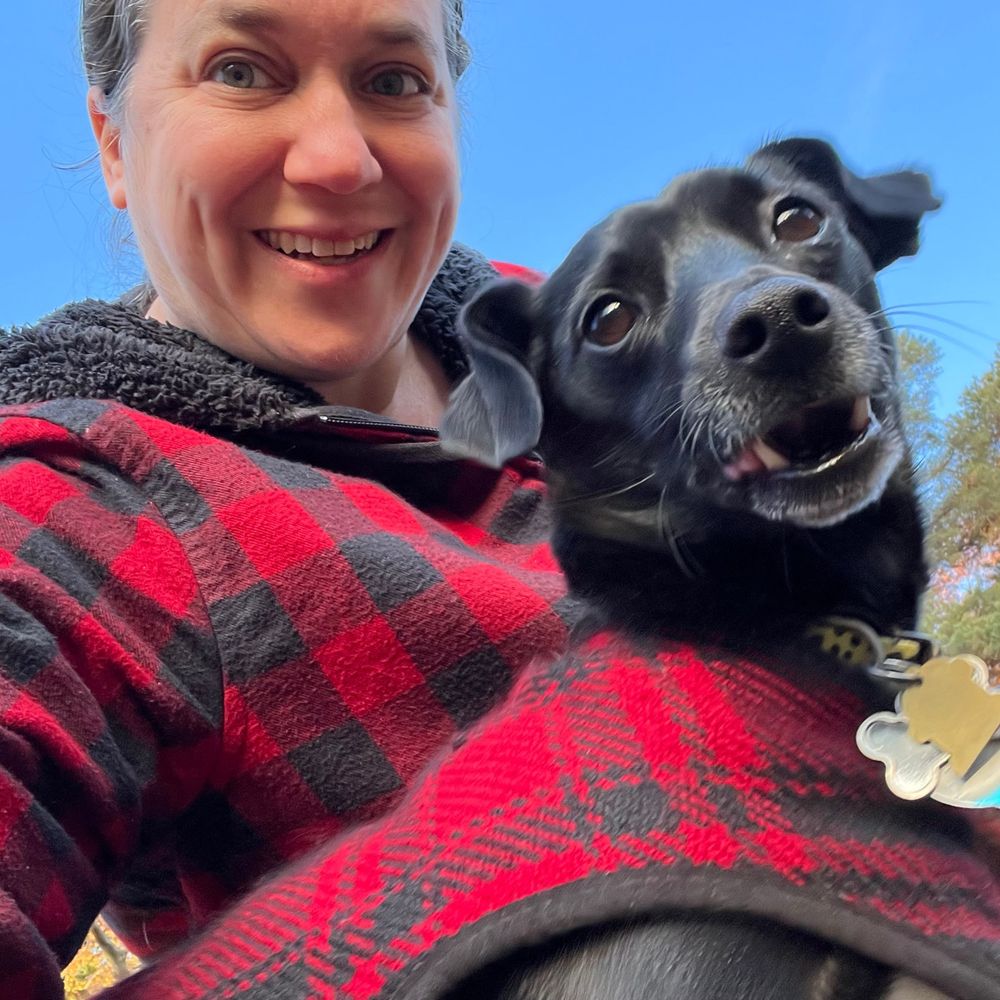 jodi