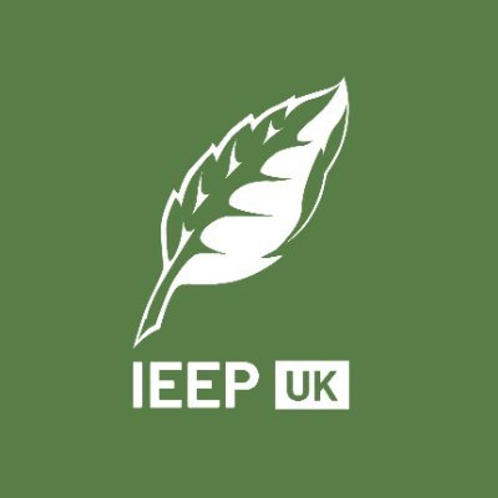 Institute for European Environmental Policy UK