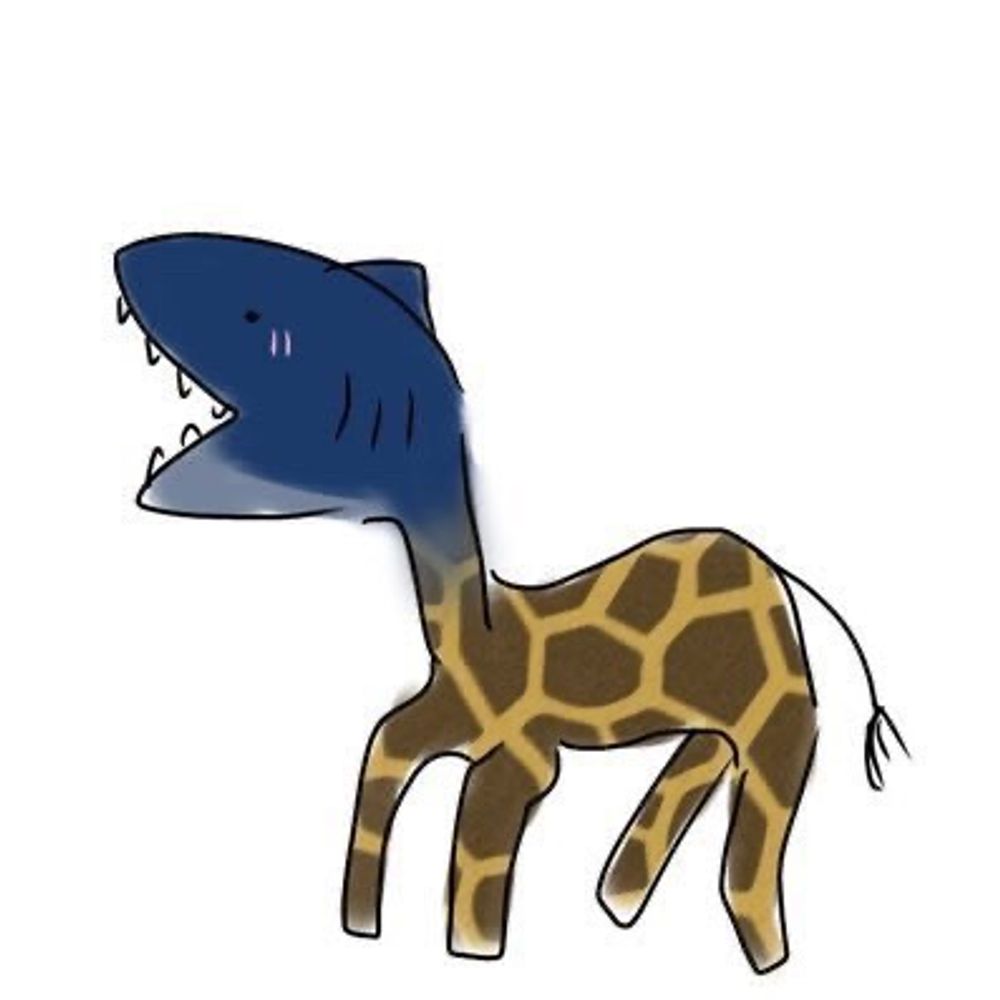 🦈🦒
