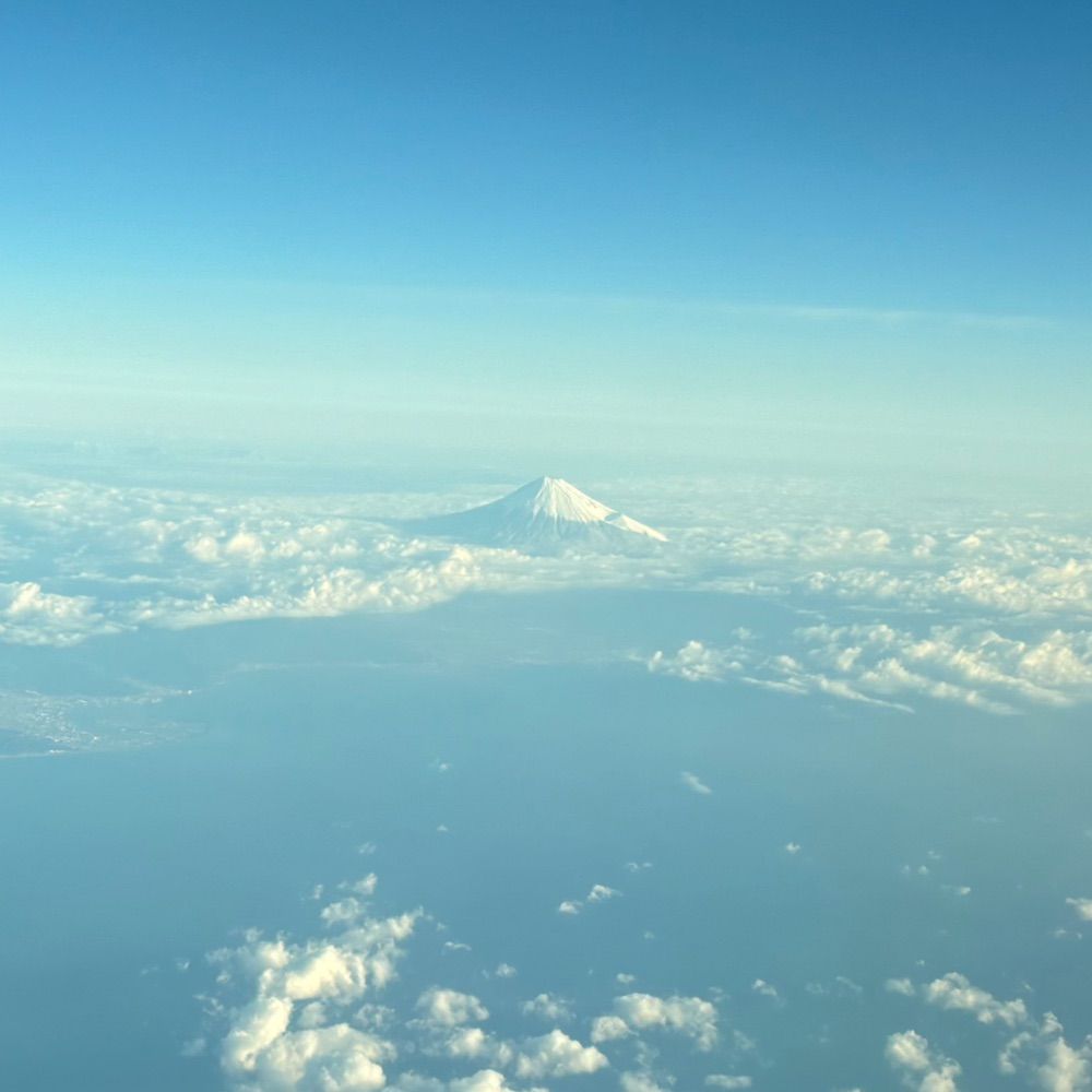ぽひょり〜た