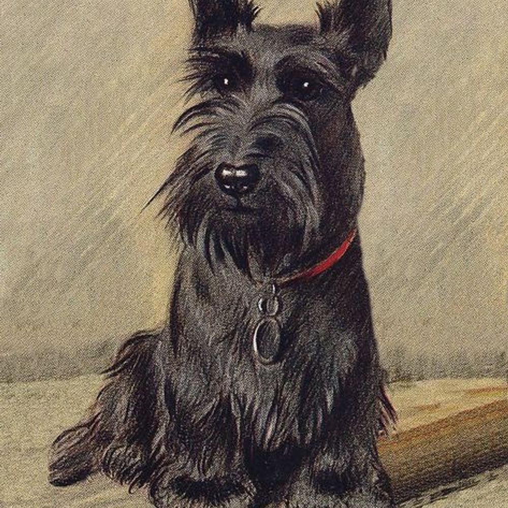 Carolyn B