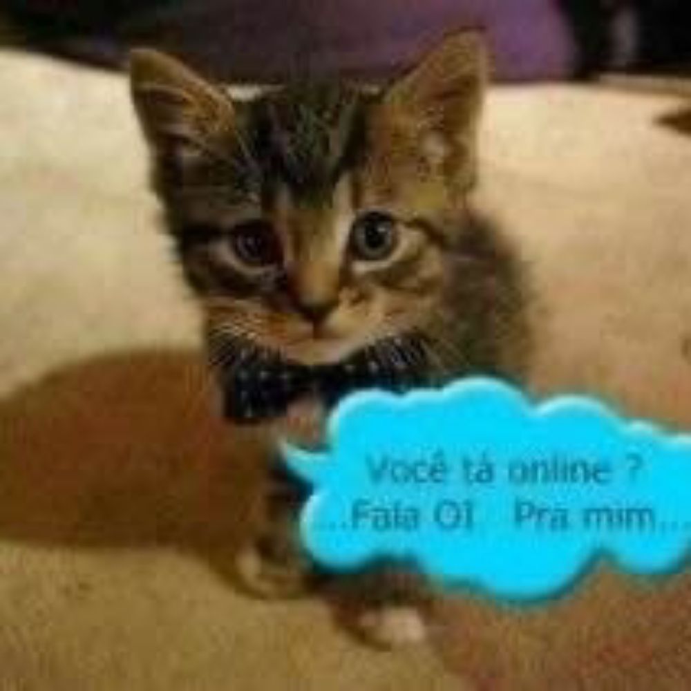 oioi