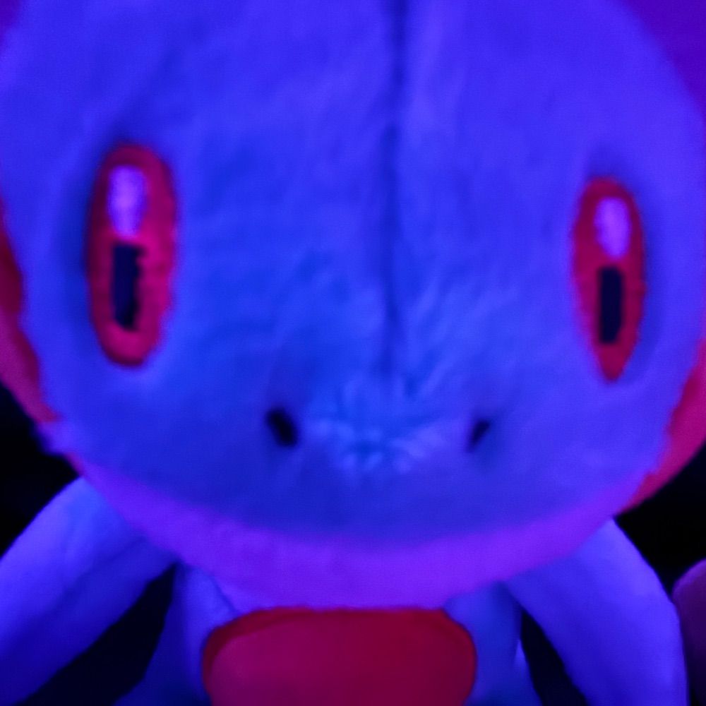 marshtomp