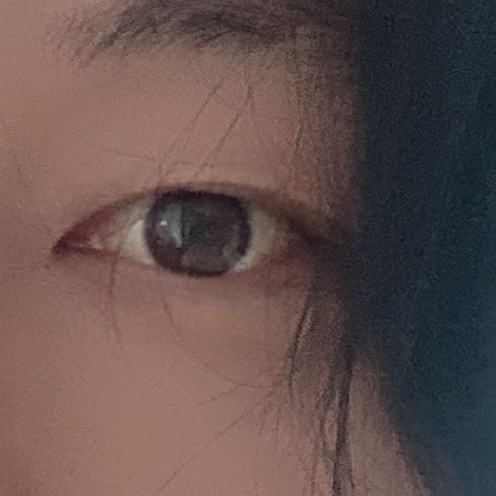 레브유