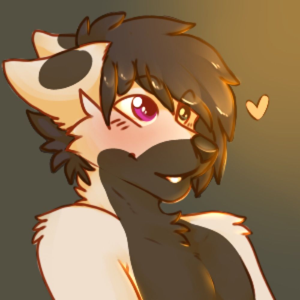 DanFoxTX