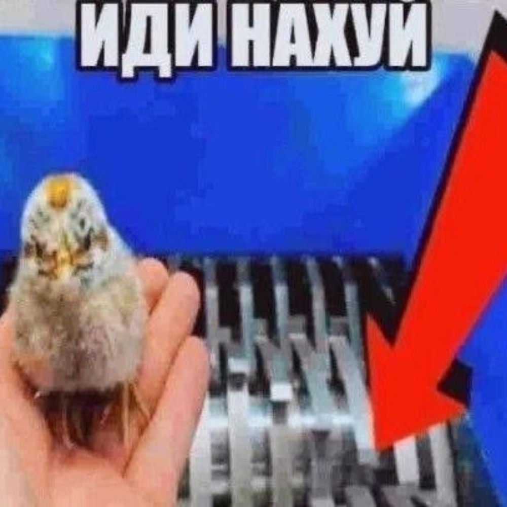 Ligushka pisdanushka 😛😛