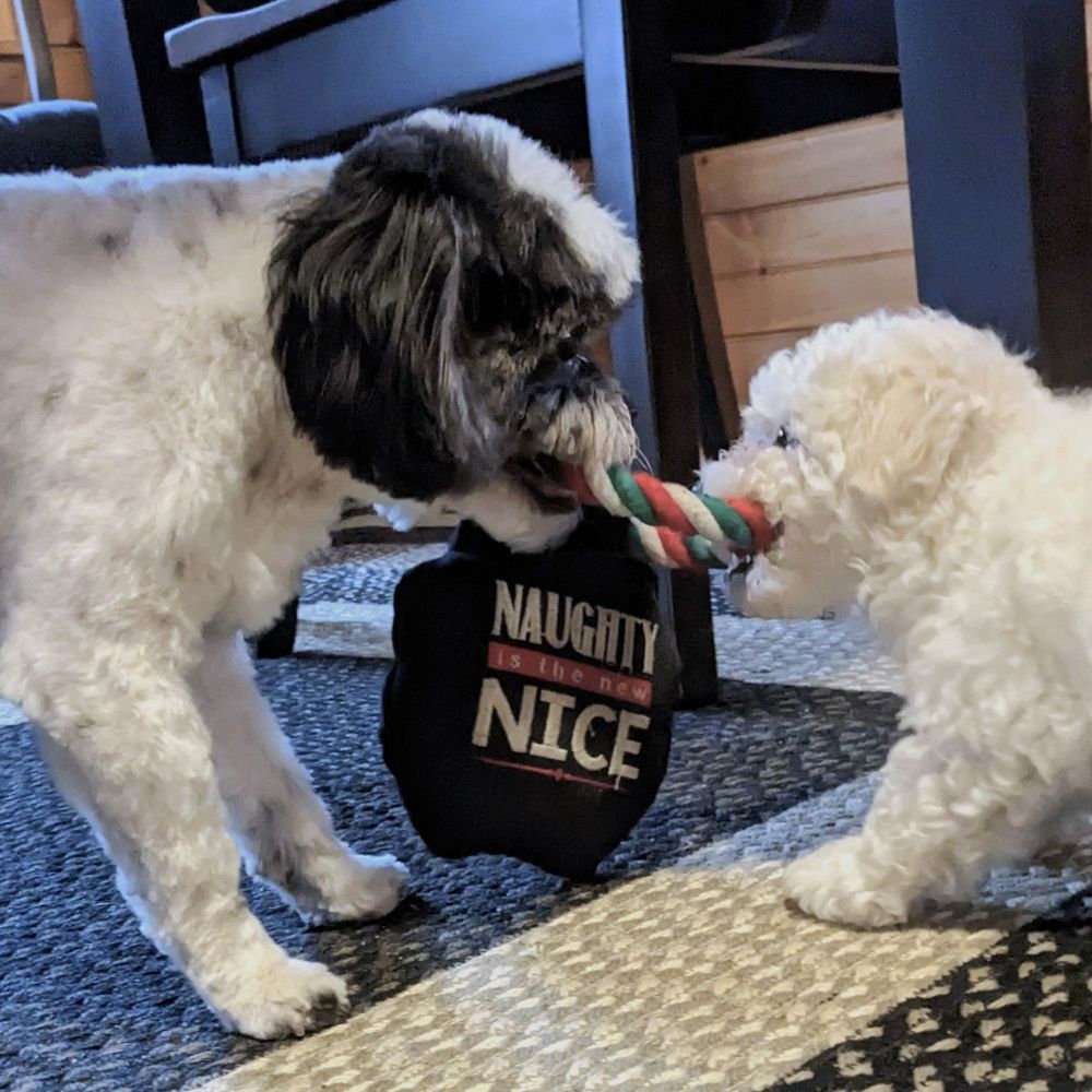 Rich in NH