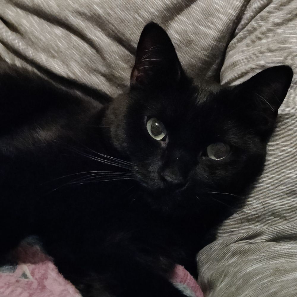 Astro Unagi