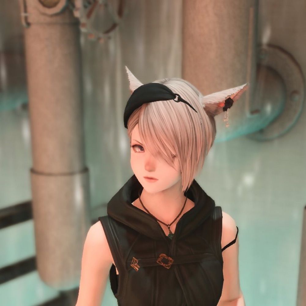 しゃろん🦭