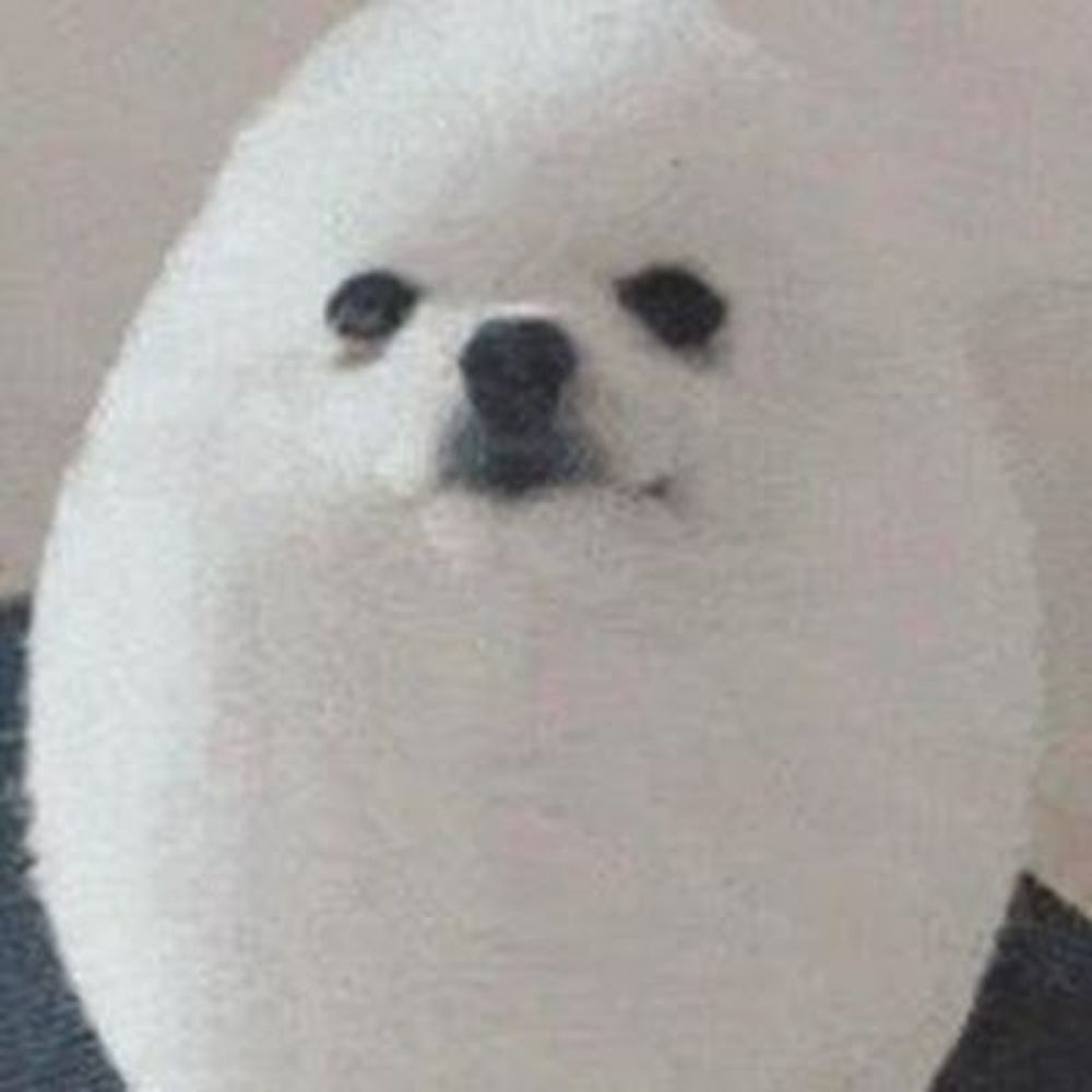 IggyTheGamer 