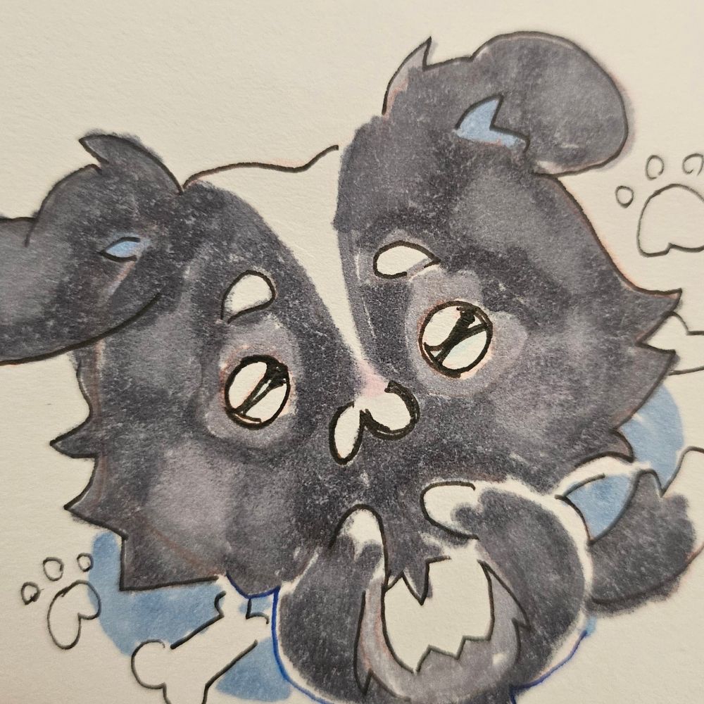 Poncho 💤