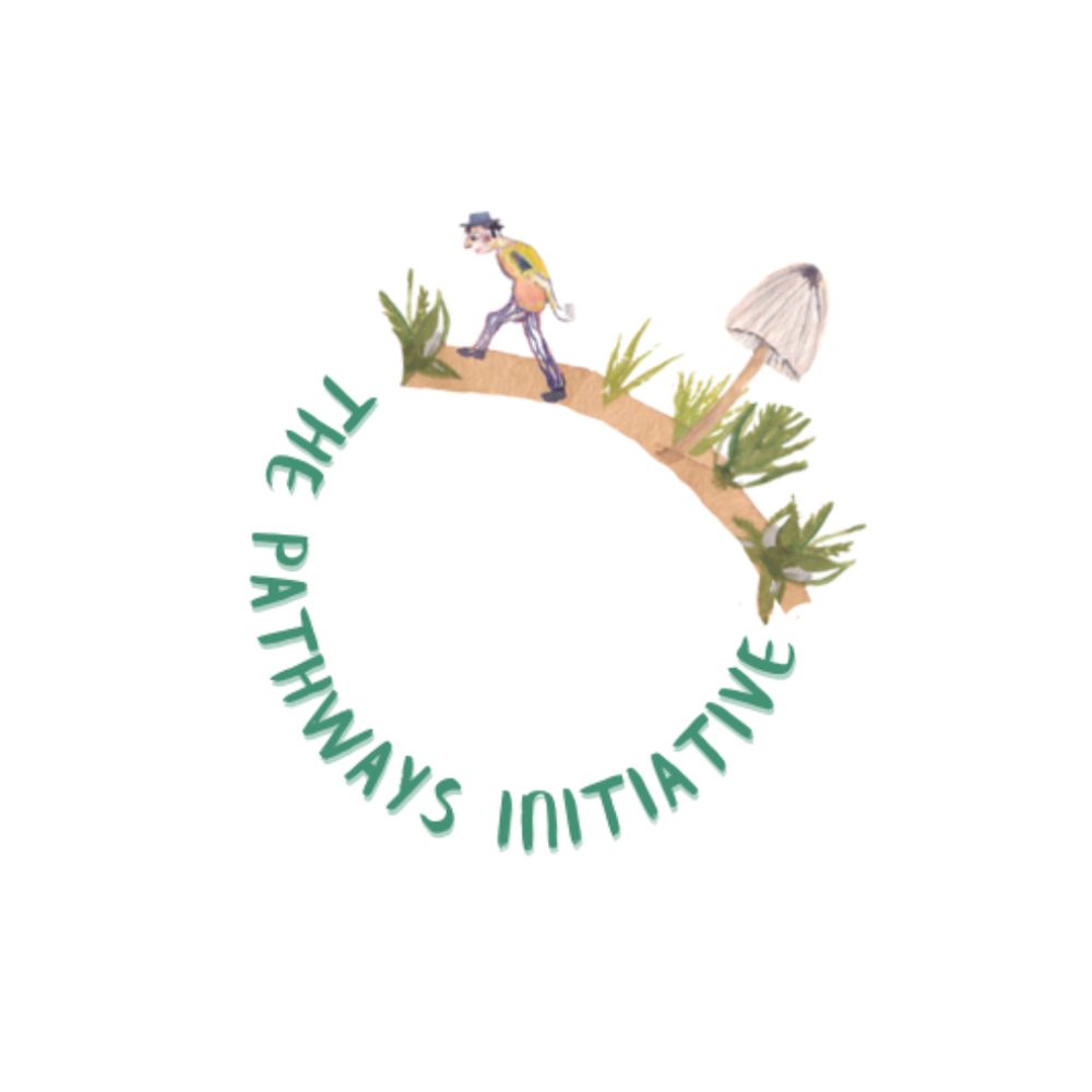 The Pathways Initiative