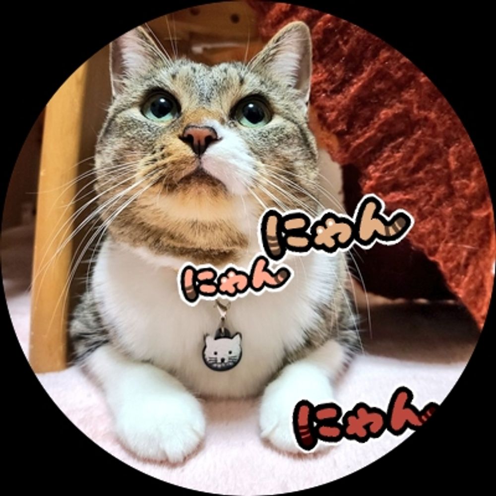 サユキ