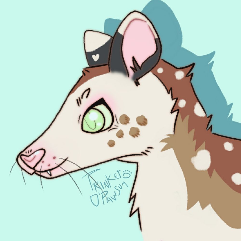 Trinket✨🏳️‍⚧️