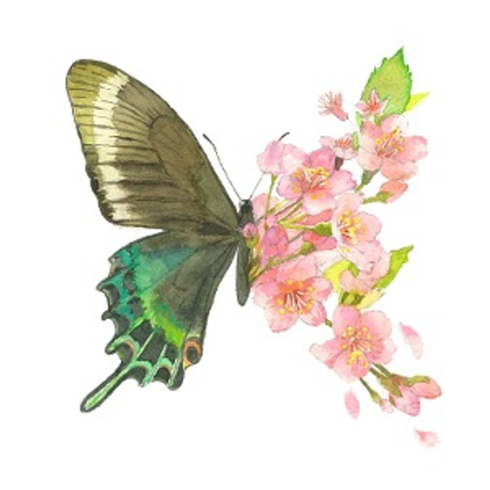 花藤 志穂