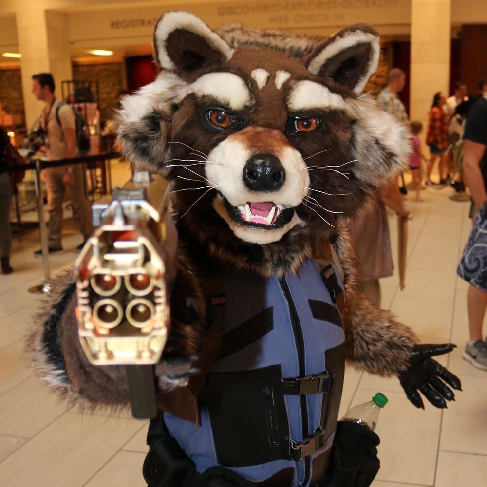 Rocket Raccoon