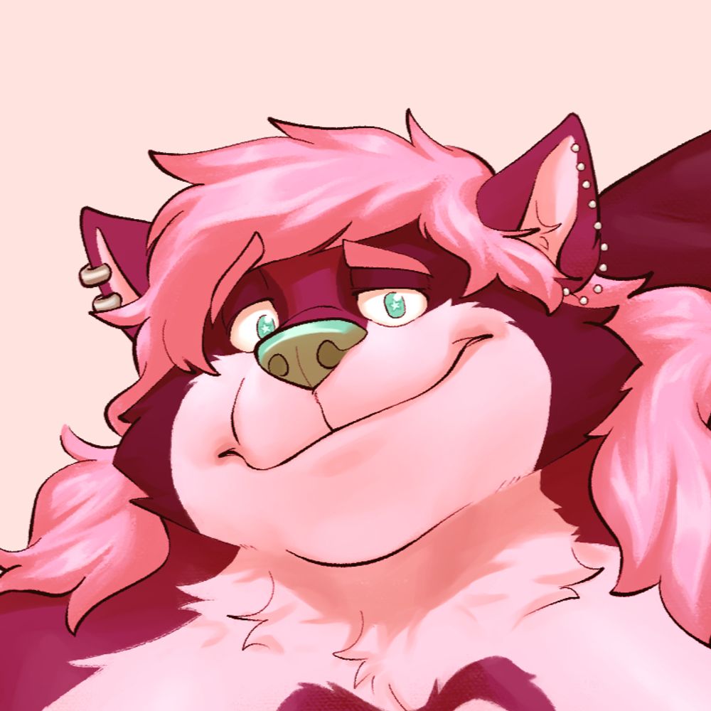 Tanudki
