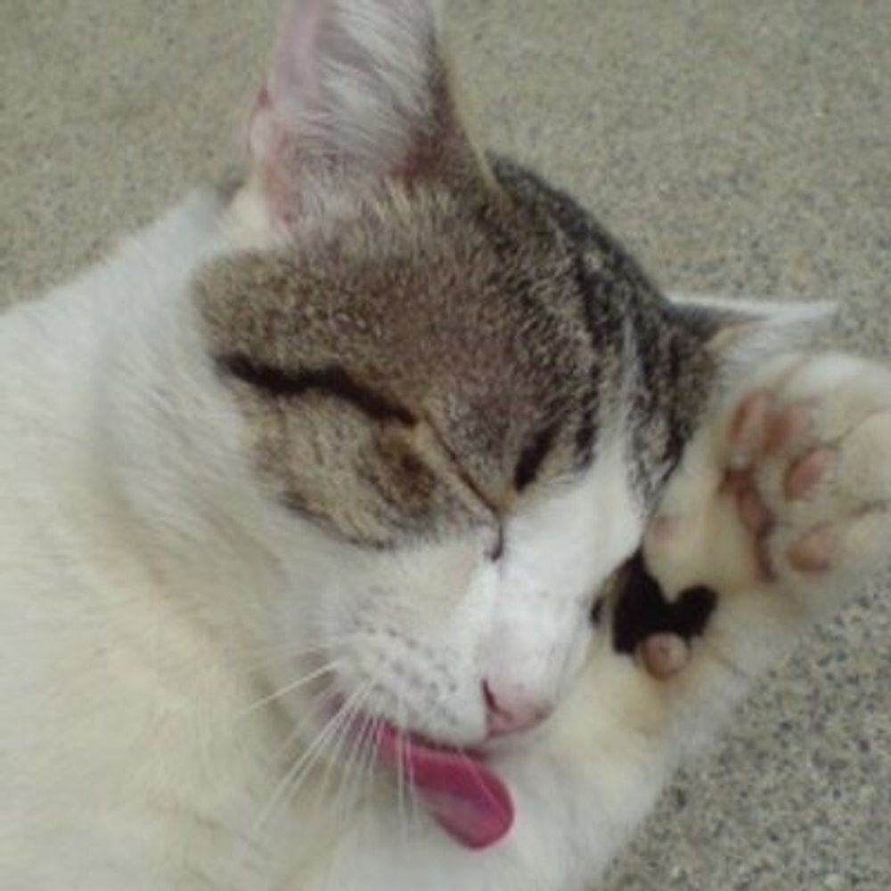 やぶりん