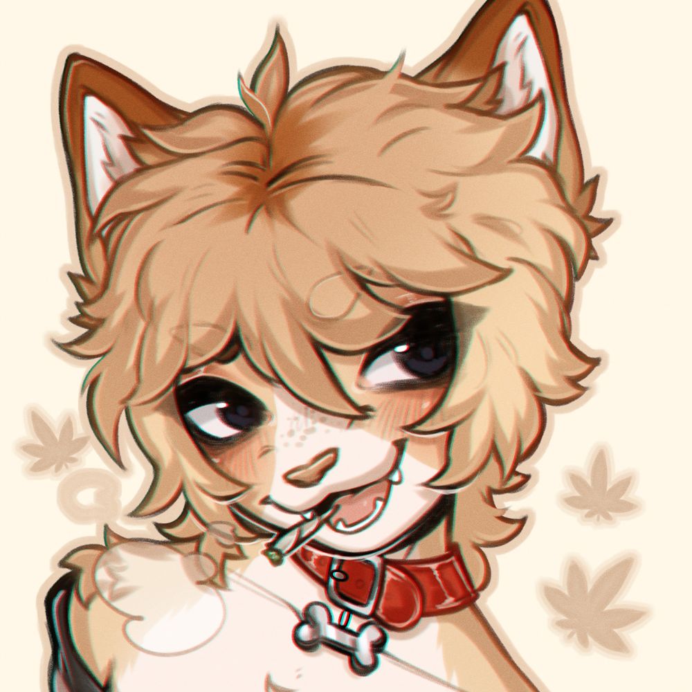 bratbun🌸