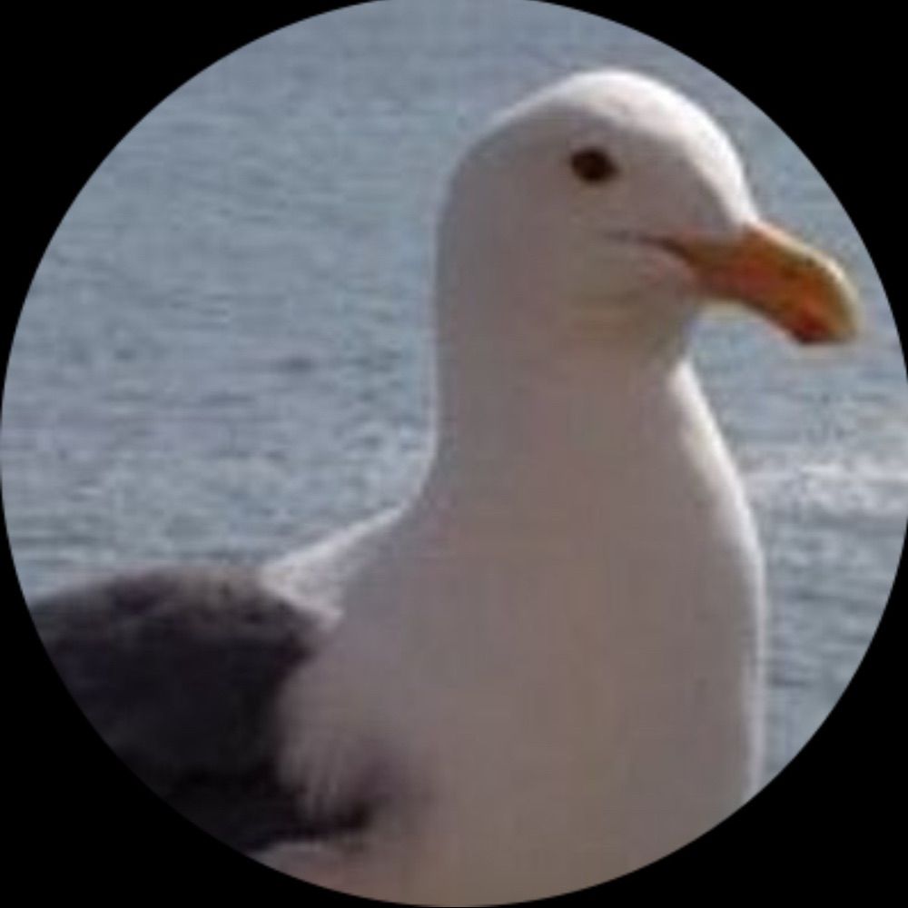 Oracle Park Seagull