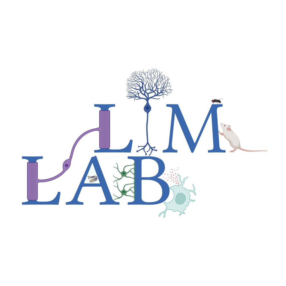 Lim Lab
