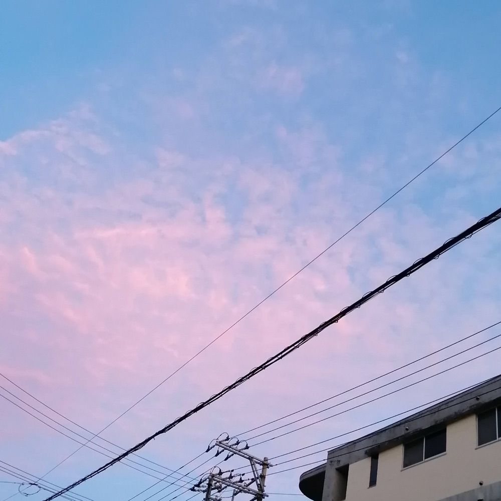 No Name