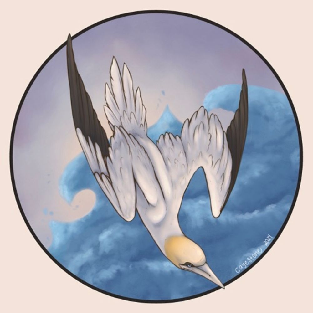 Cloudspire Chronicles