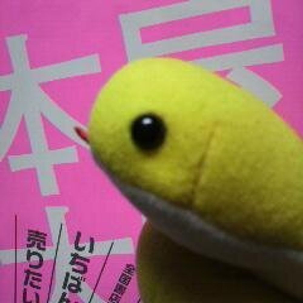 とみた