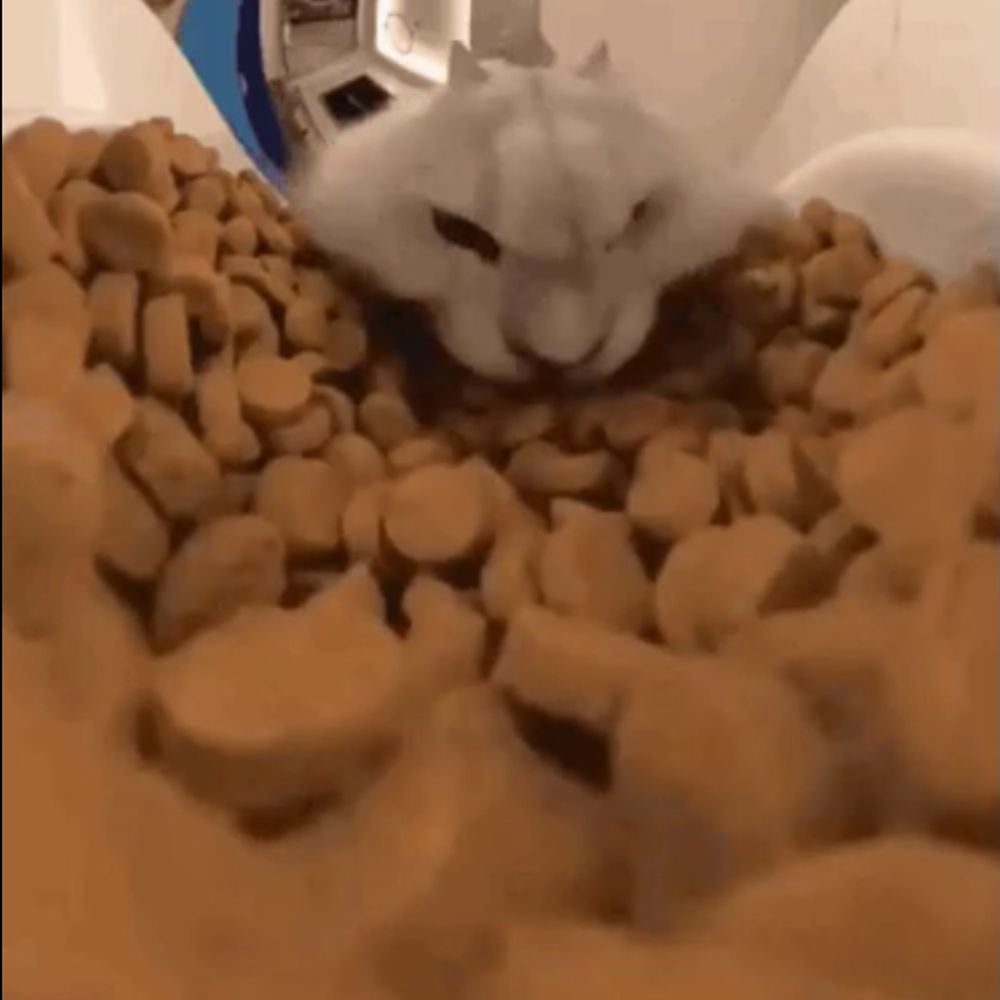 K.