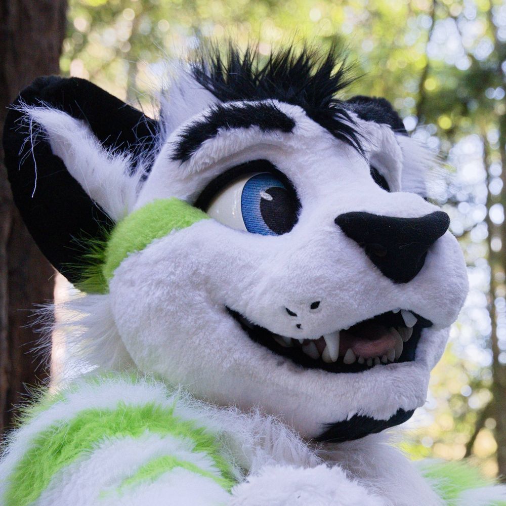 FibreKitty's avatar