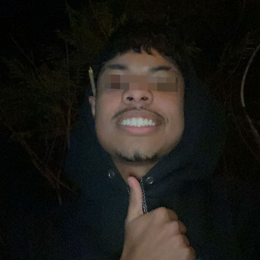 vini