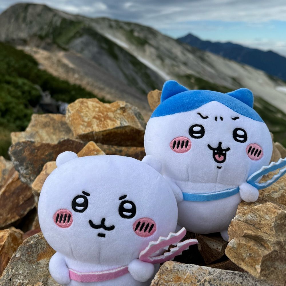 こげこげの山歩