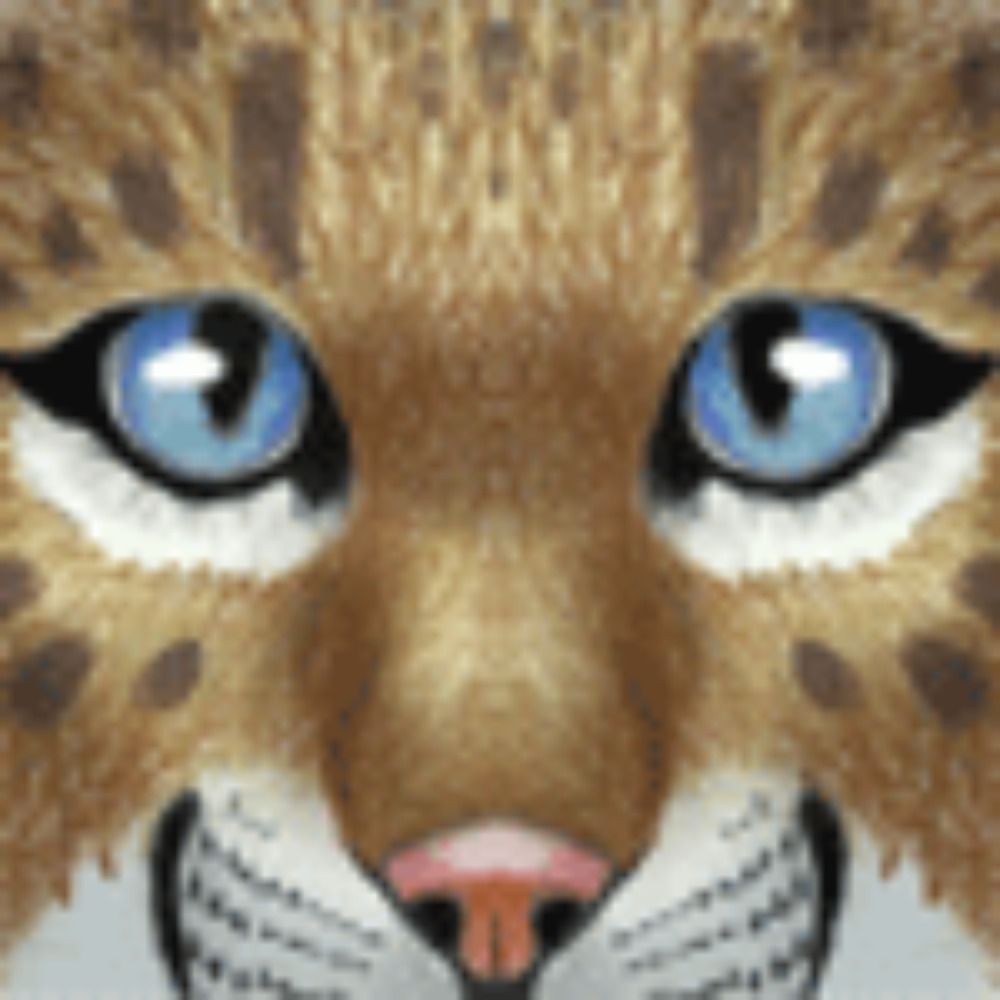 HunterBeingHunted