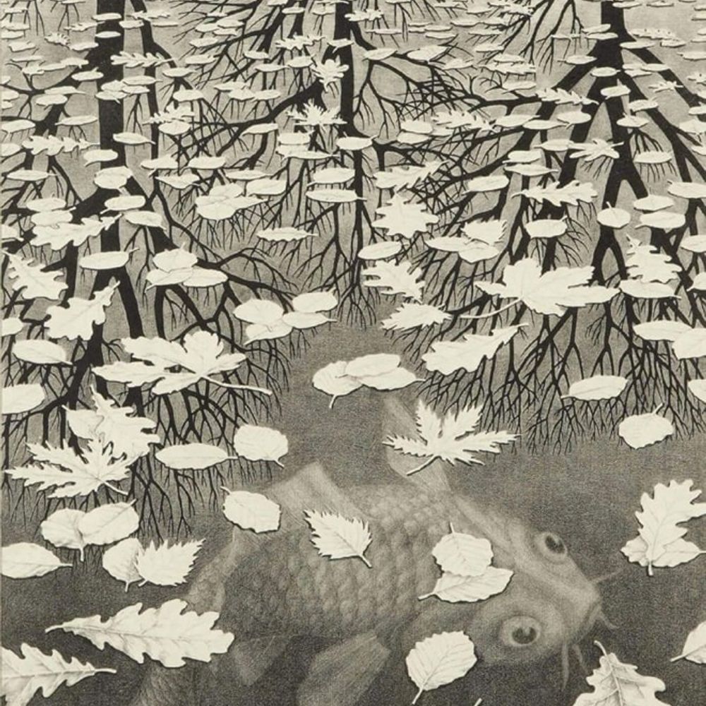 Damian Van Denburgh