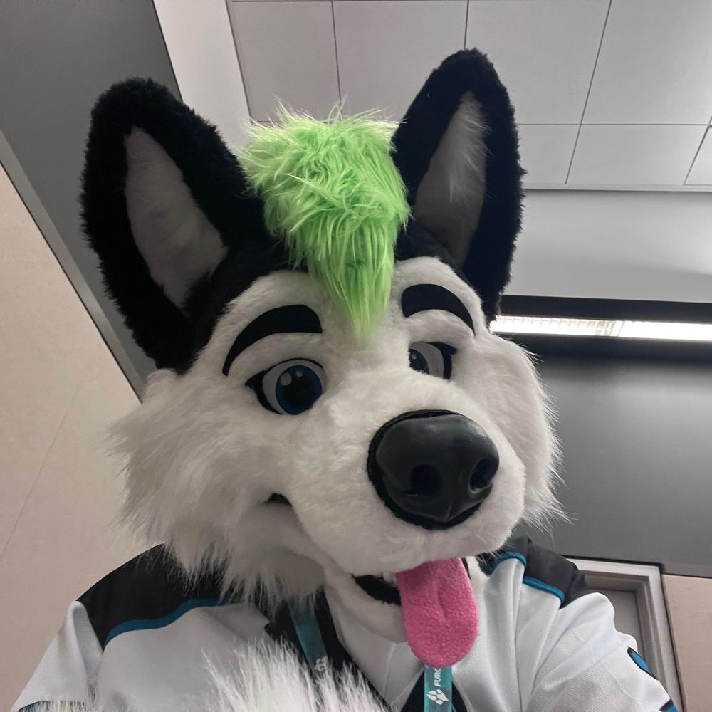 Cyber Husky