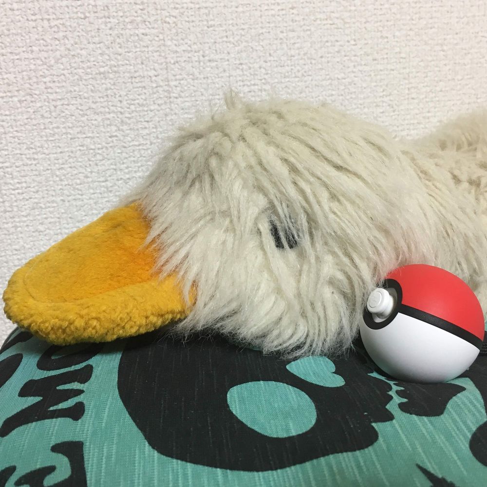 あひるの人