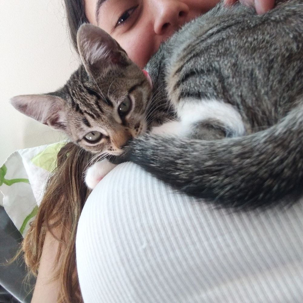 Luísa Sonsa