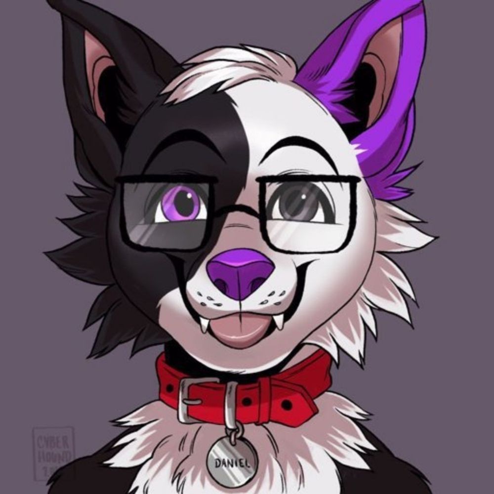 Danny Doggo