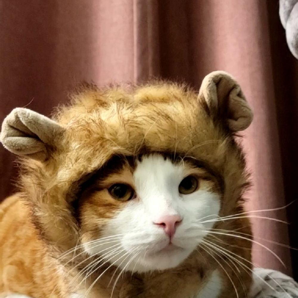 Elphie