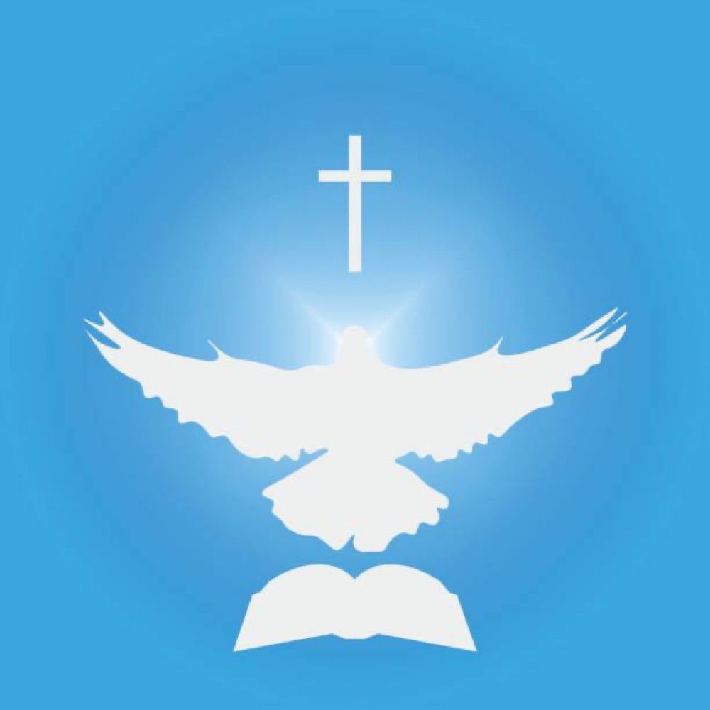 https://gofund.me/9a8b157d