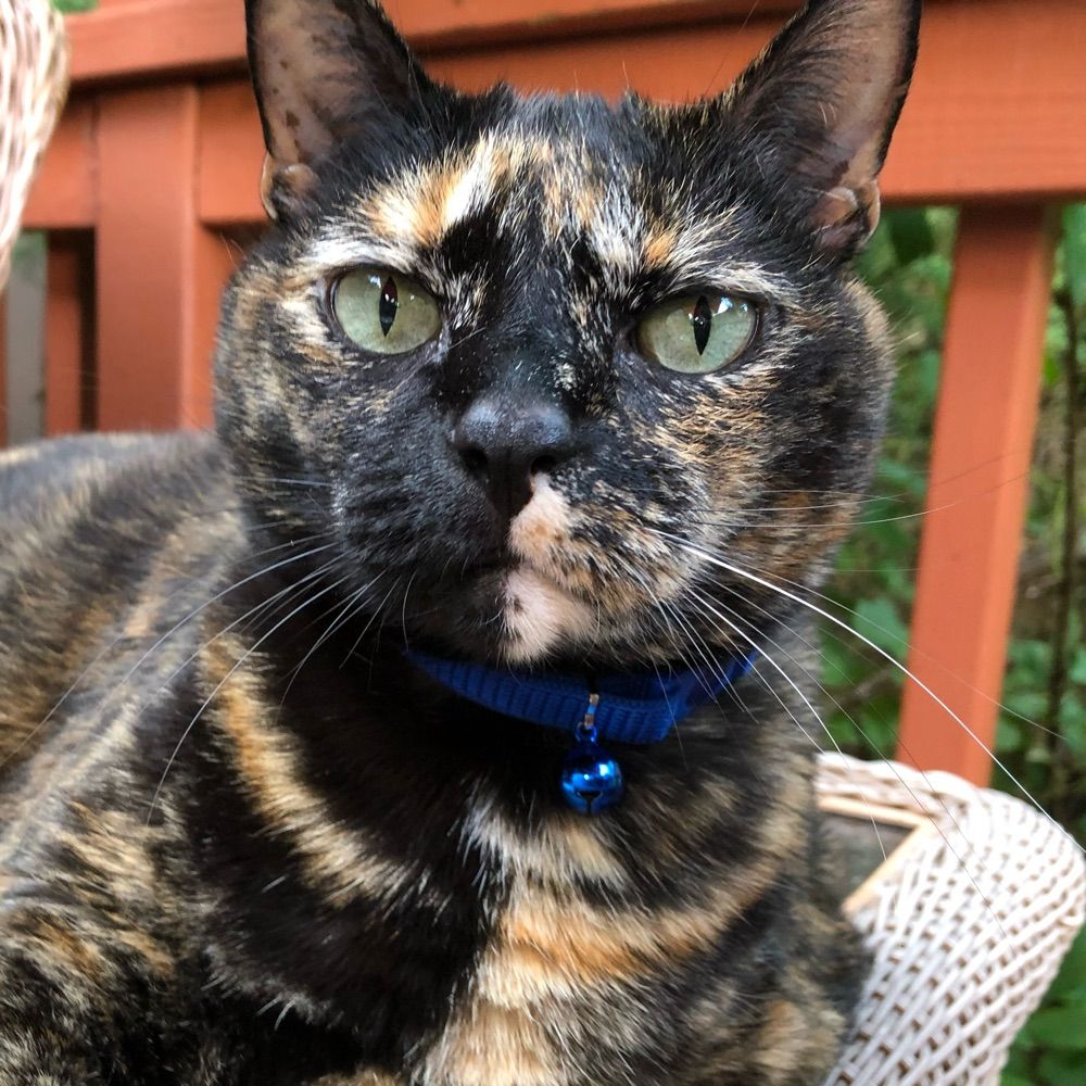 Peggy