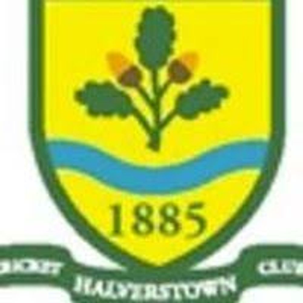 Halverstown Cricket Club
