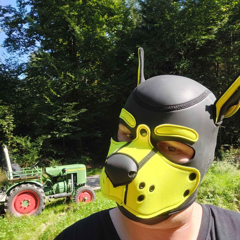 Stihl_the_Fox